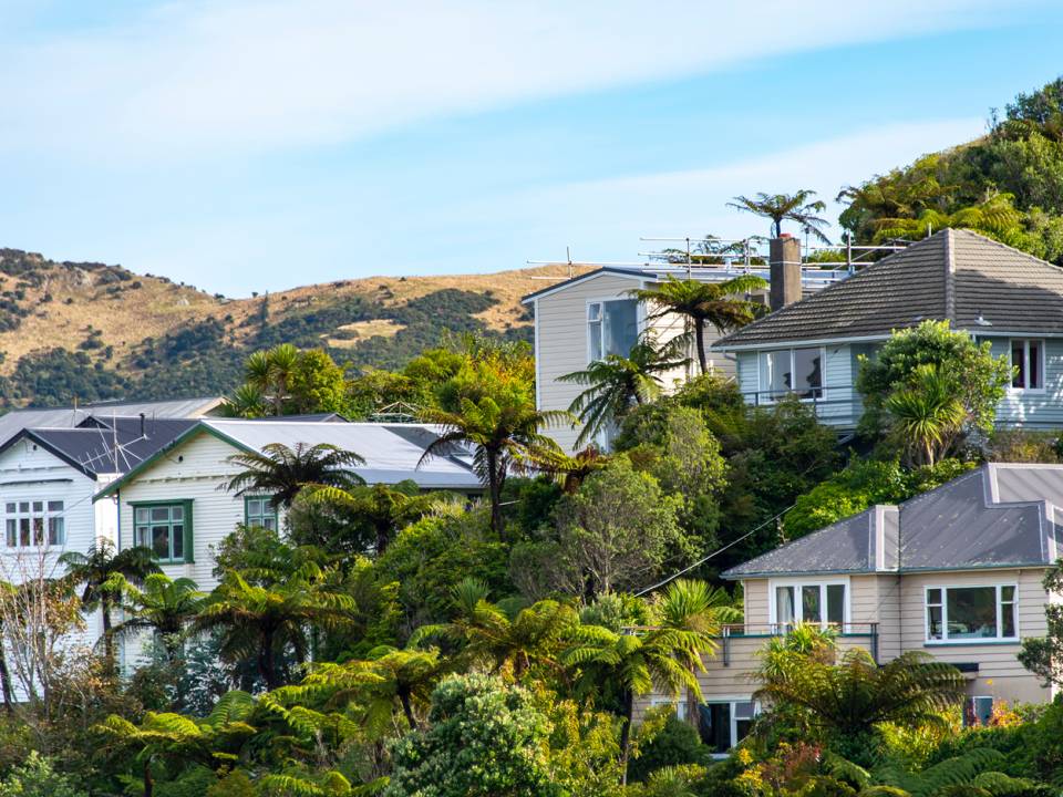 Property Market Momentum Returns as NZ Reaches 2021 Activity Levels