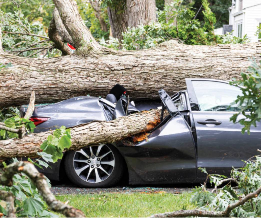 Renters Insurance