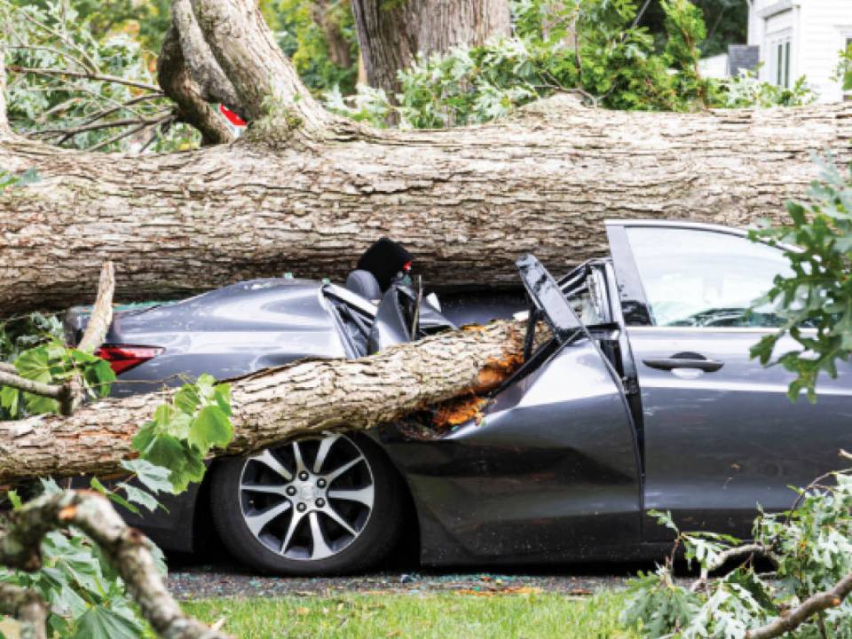 Renters Insurance