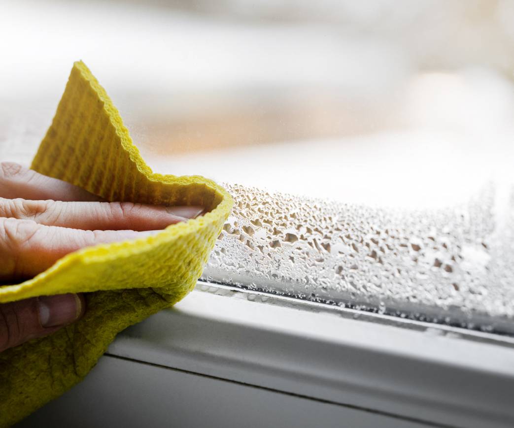 Winter Mould and Property Upkeep