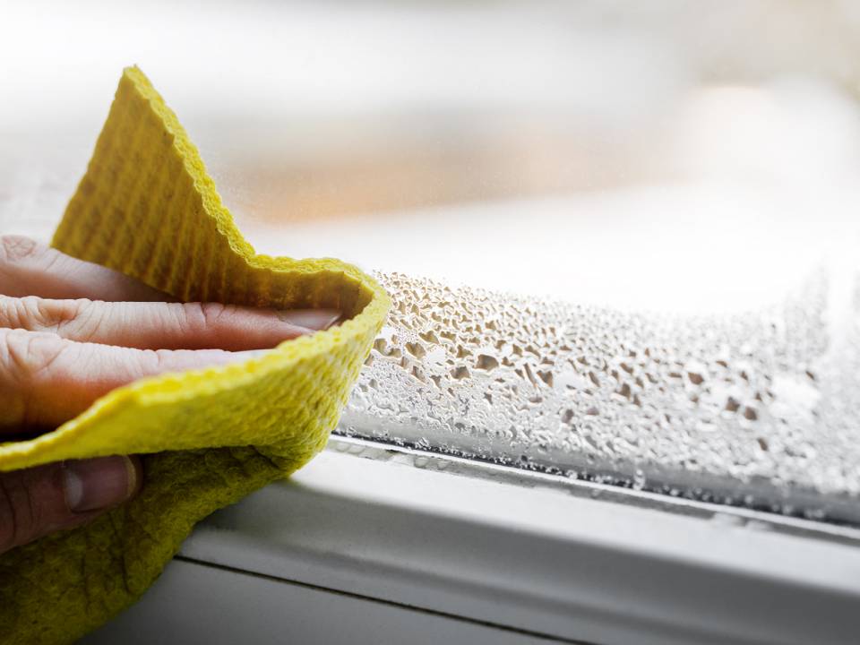 Winter Mould and Property Upkeep