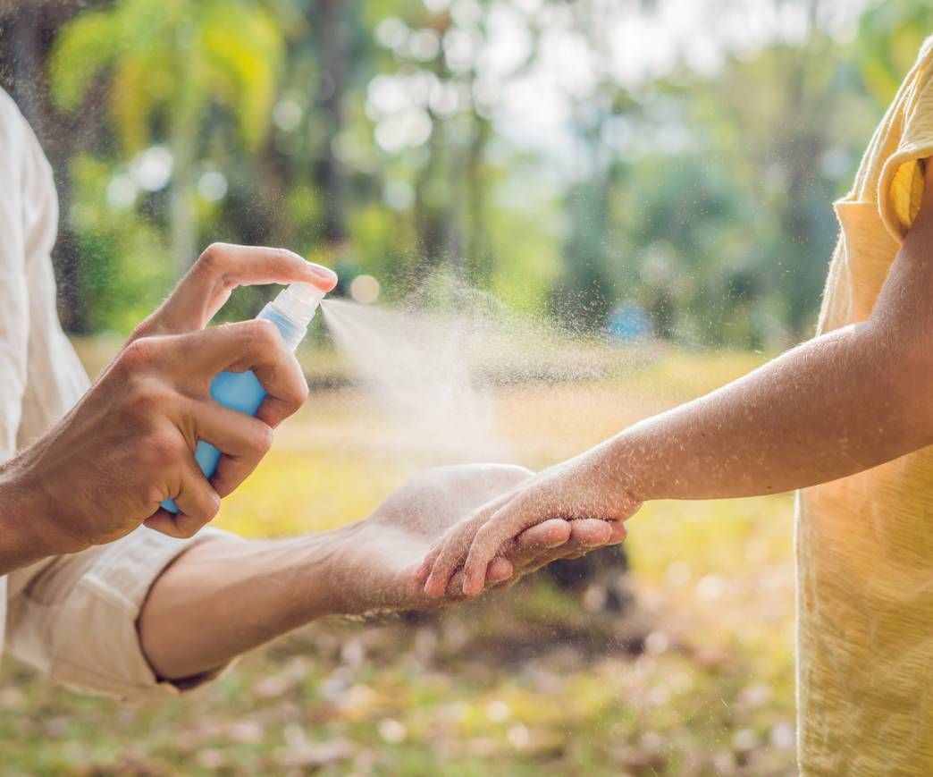 Stop Mosquitoes Breeding Around Your Home