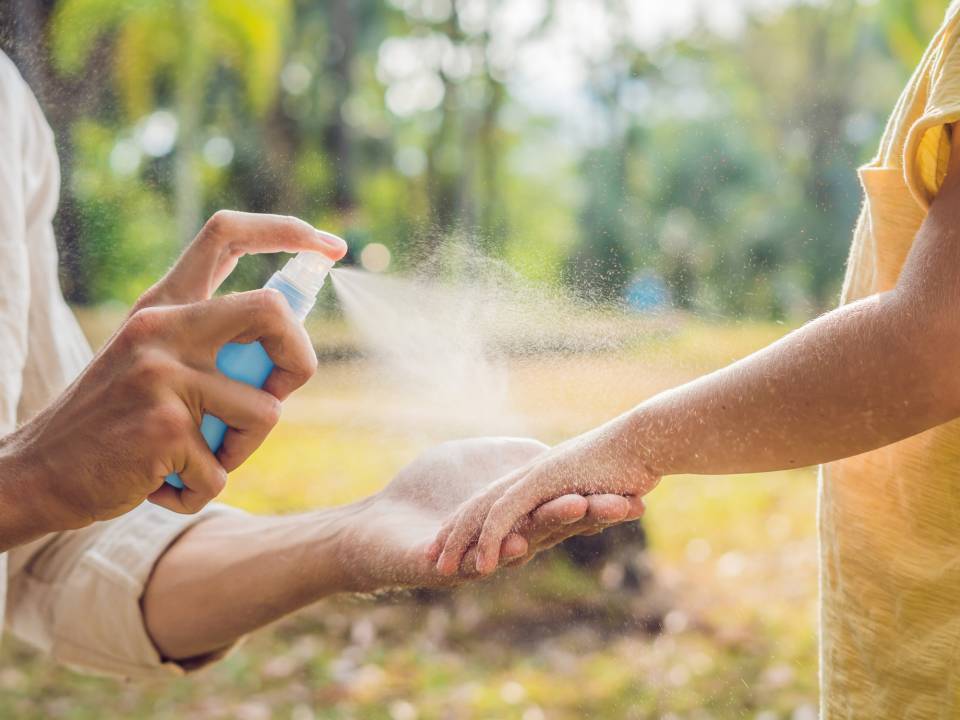 Stop Mosquitoes Breeding Around Your Home
