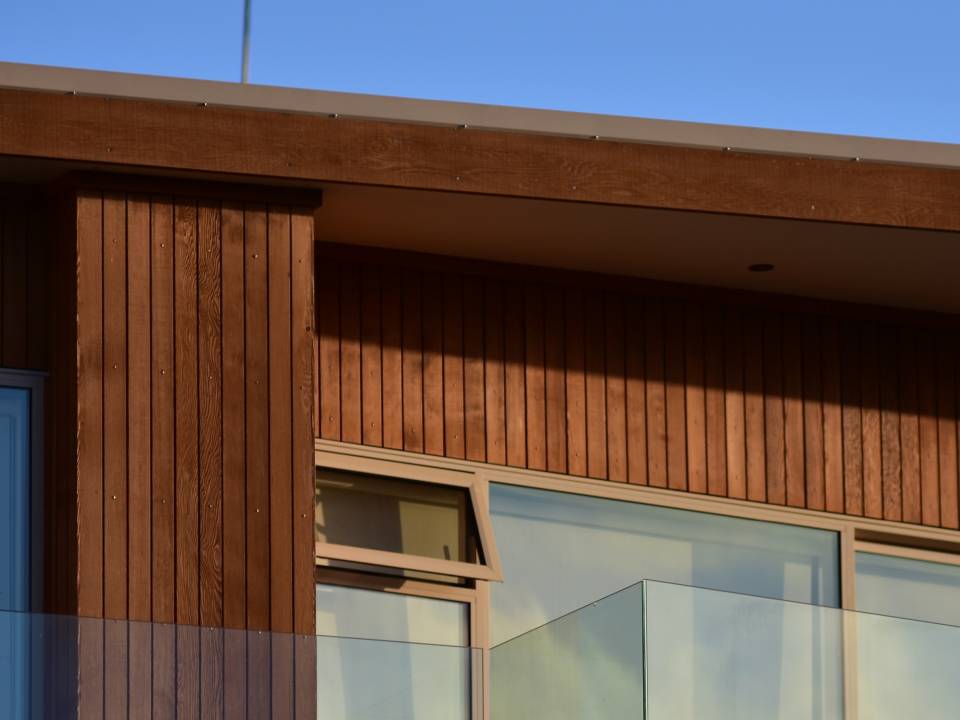 Strong February performance points to growing market momentum